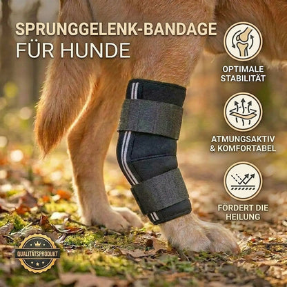 Sprunggelenk Durchtrittigkeits Bandage für Hunde
