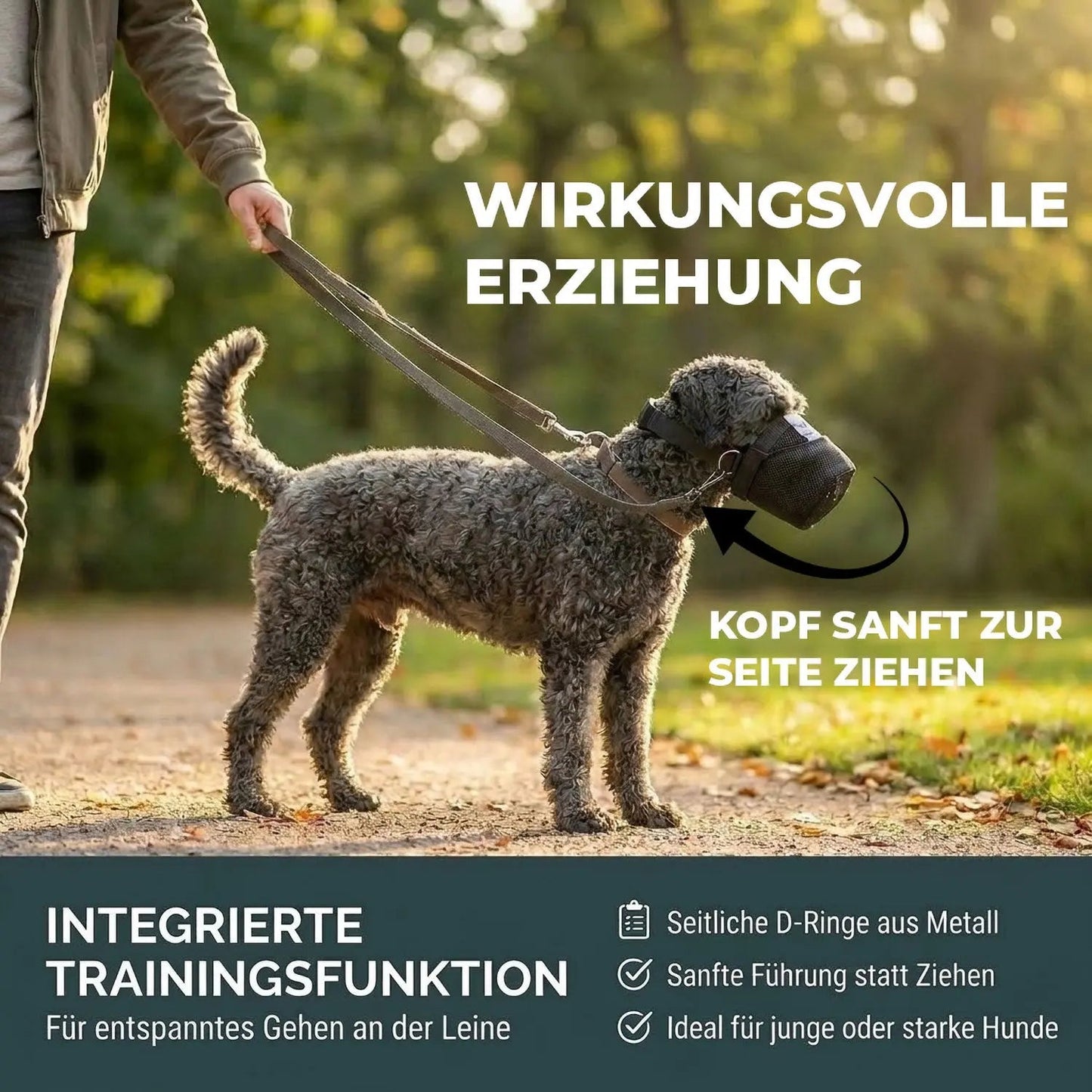 Giftkoederschutz für Hunde