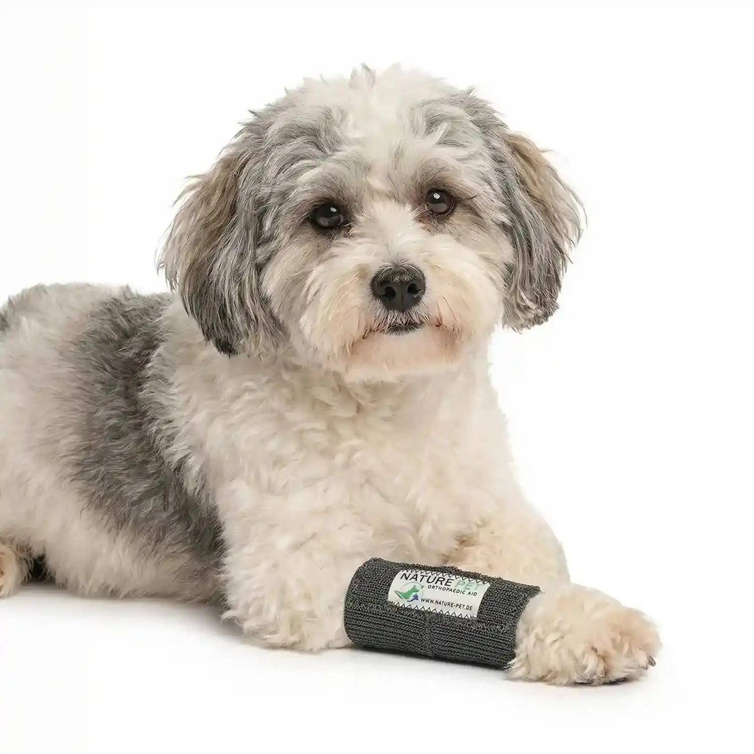 Elastische Handgelenkbandage für kleine Hunde