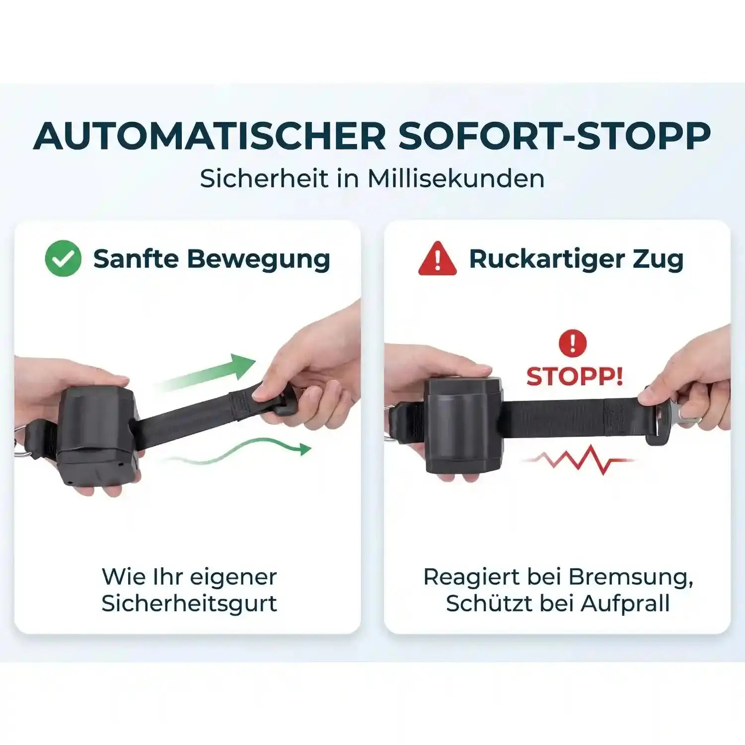 Hundesicherheitsgurt ausziehbar