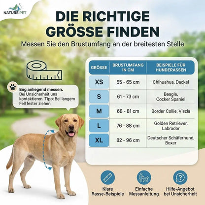 Hundeexpander, Rehageschirr für Probleme an den Hinterläufen