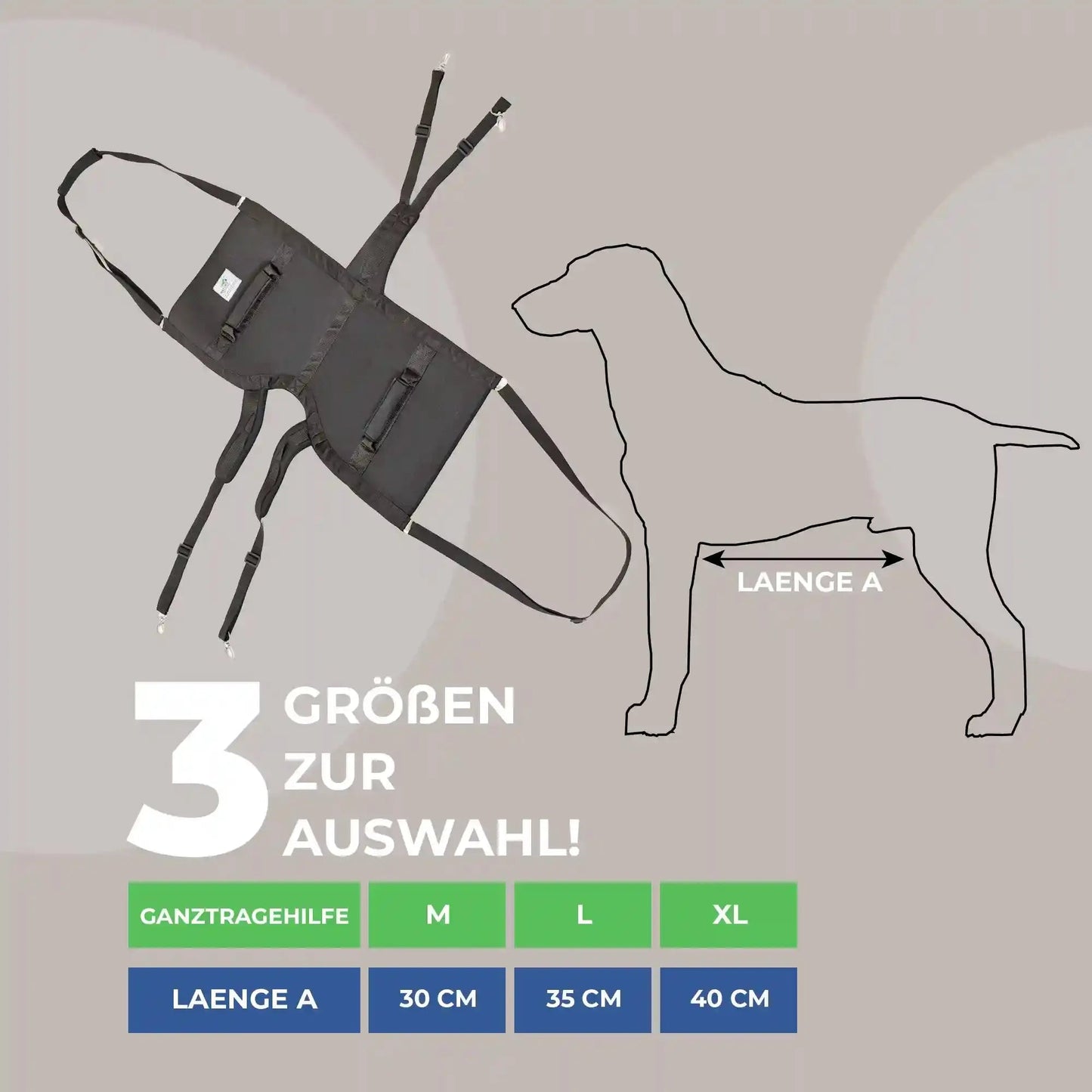 Ganzkoerpertrage Basic Hund