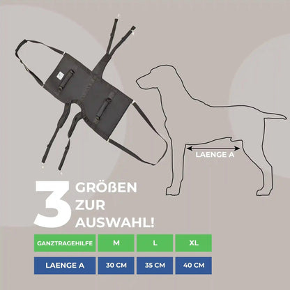 Ganzkoerpertrage Basic Hund