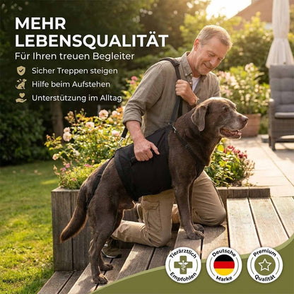 Ganzkoerpertrage Basic Hund