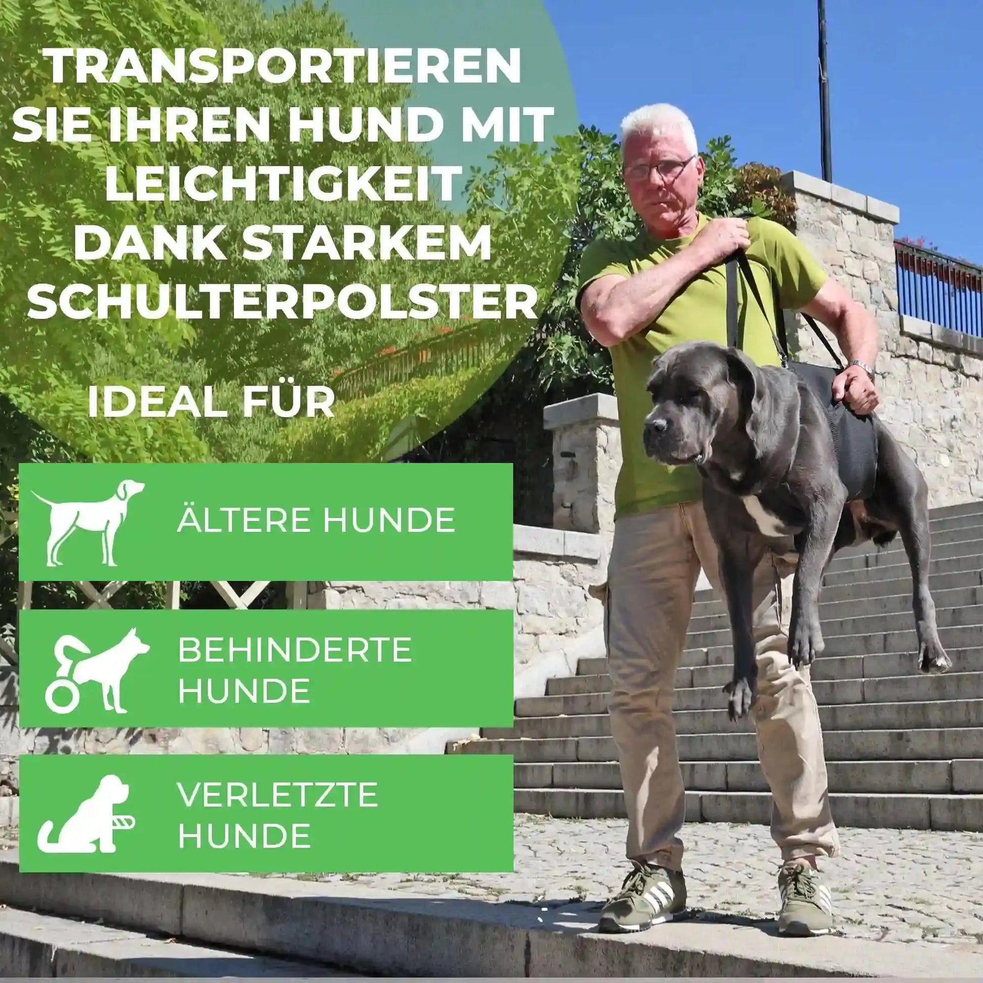 Ganzkoerpertrage Basic Hund