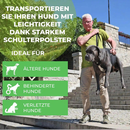 Ganzkoerpertrage Basic Hund