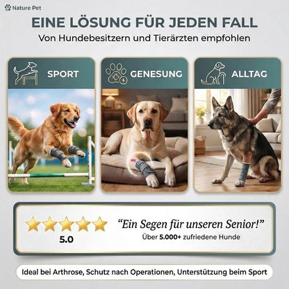 Sportbandage für Hunde
