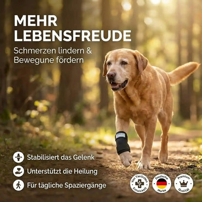 Thermoplast-Bandage für Hunde