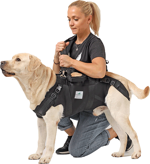 Durchgehende Tragehilfe Hund
