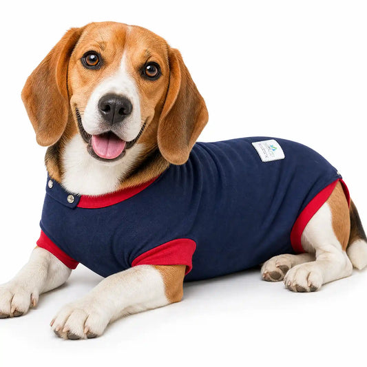 Hunde OP Body | Schutzanzug &amp; Beruhigungsshirt für Hunde